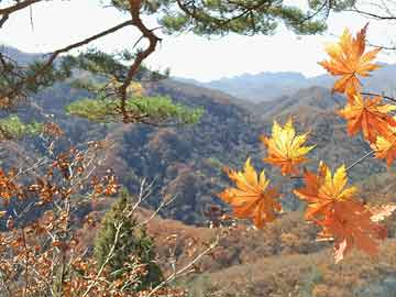 招牌门头照明设计,招牌门头照明设计效果图