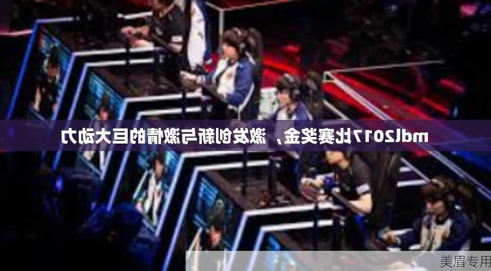 mdl2017比赛奖金，激发创新与激情的巨大动力