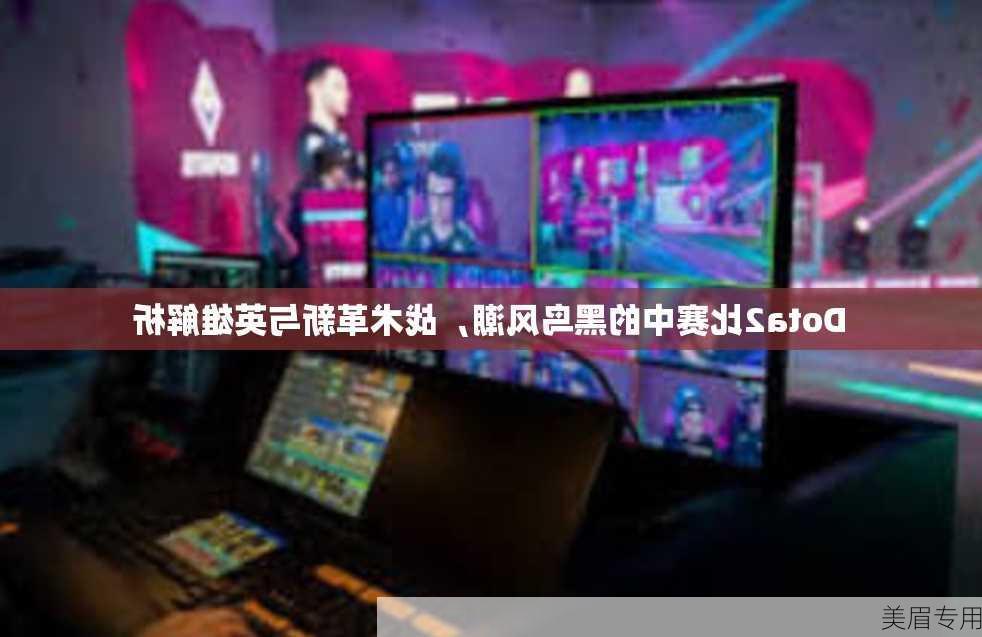 Dota2比赛中的黑鸟风潮，战术革新与英雄解析